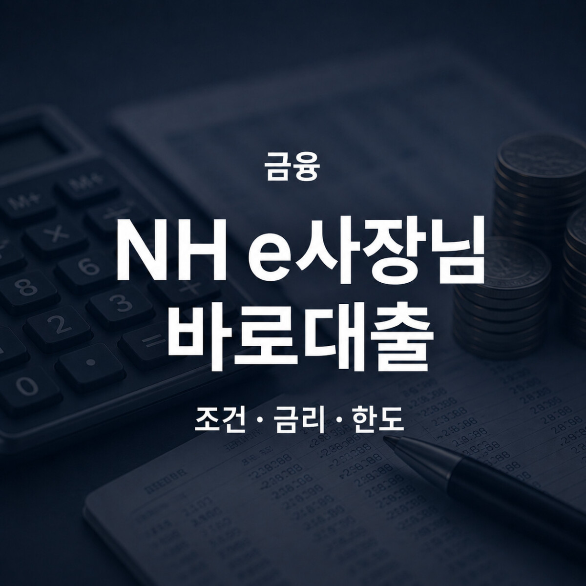NH농협은행 NH e사장님 바로대출 조건 금리 한도